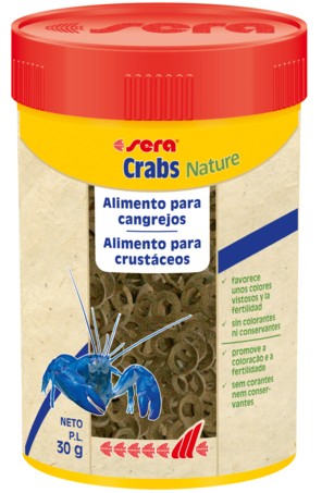 Inicio